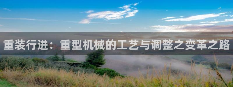 龙八国际娱乐正版