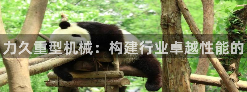 龙八国际链接