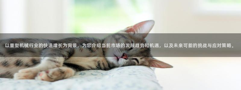 龙八国际手机客户端下载