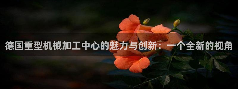 龙八国际手机端官网