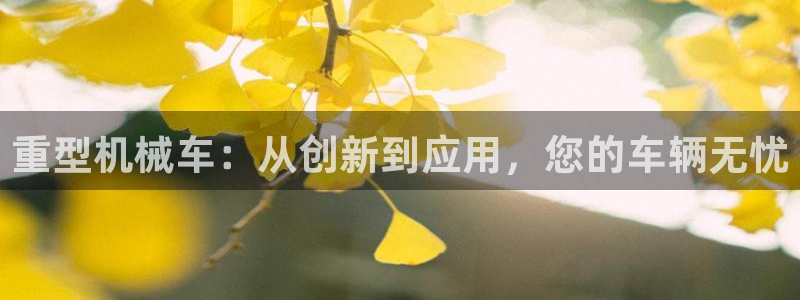 龙八国际网站手机版