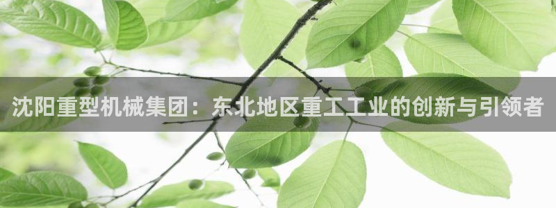龙八国际下载链接