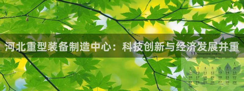 龙八国际电脑版下载