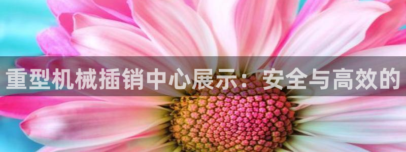 龙八国际游乐城