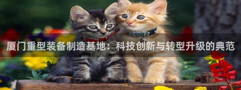 龙八国际娱乐正版
