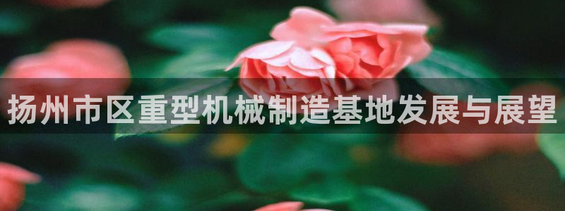 龙八国际官网手游