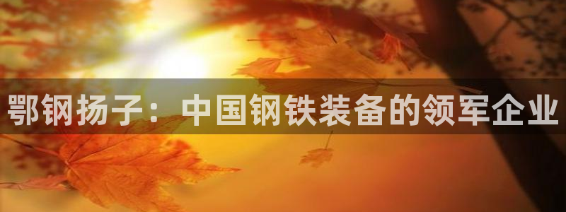 龙八国际网页long8.hn