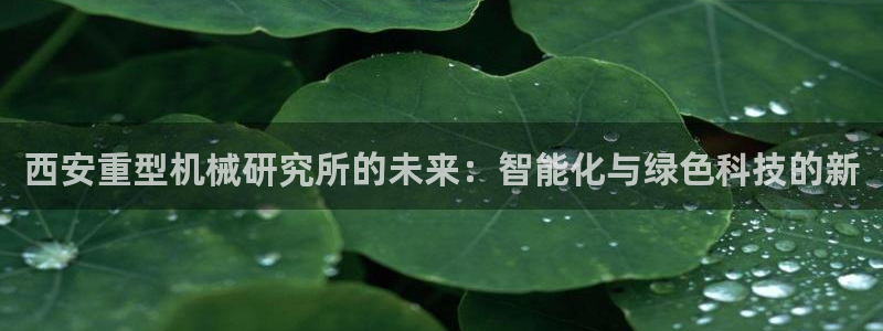 龙八国际下载地址