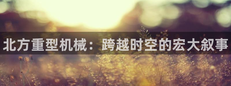 龙八国际 我的