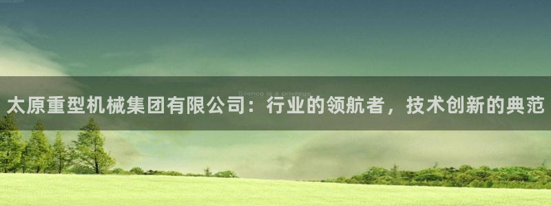 龙八国际有限责任公司