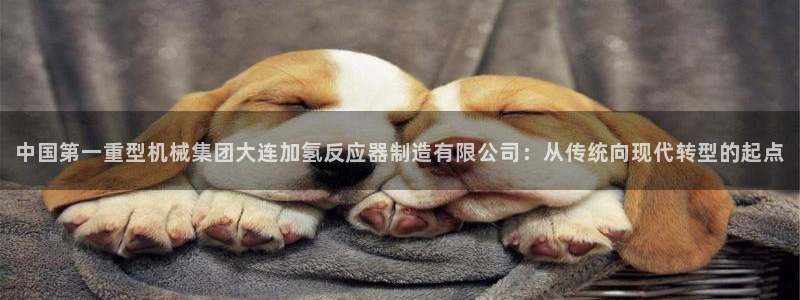 龙八国际88