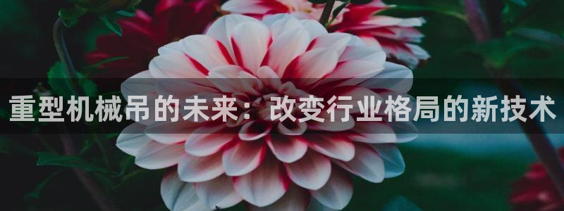 龙八国际客户端下载官网