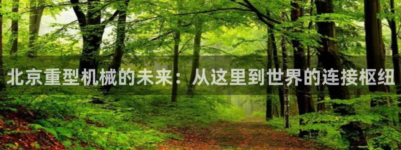 l龙八国际