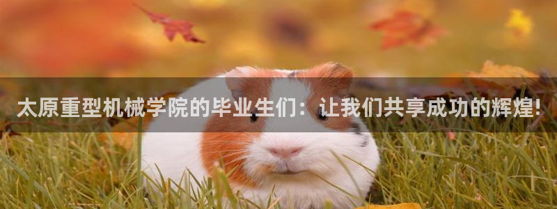 龙八国际手机端官网