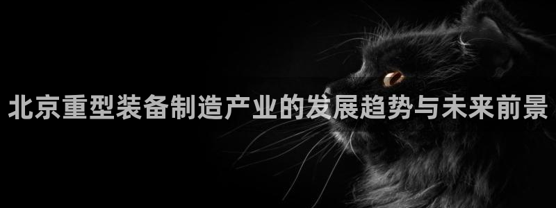 龙八国际是不是黑平台