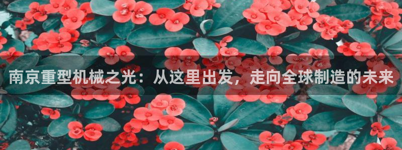 龙八国际 long5658.com