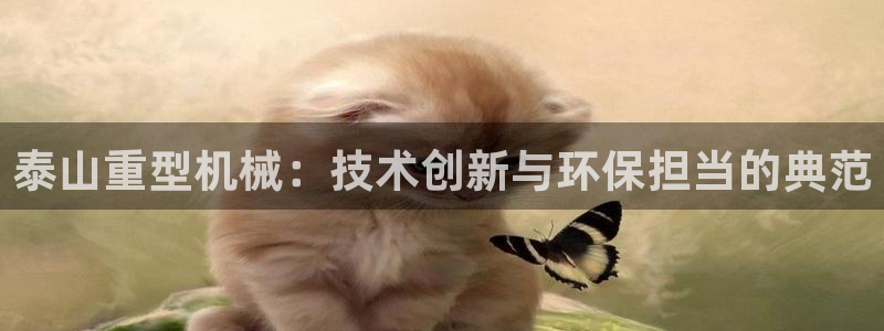 龙八国际官方网