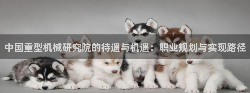 龙八国际登
