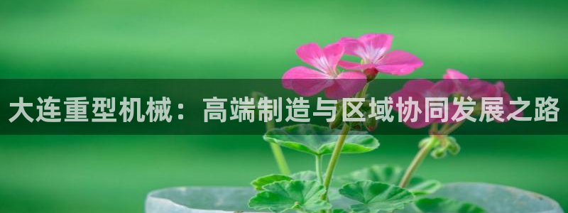 龙八国际娱乐