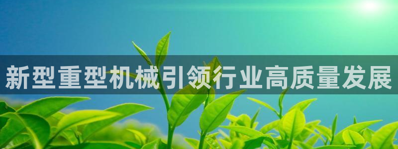 龙八国际在线网址