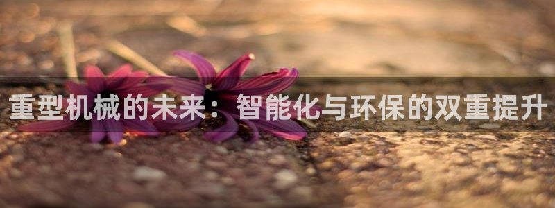 龙八国际官网app