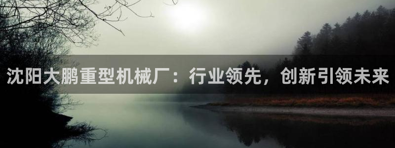 龙八国际app是什么