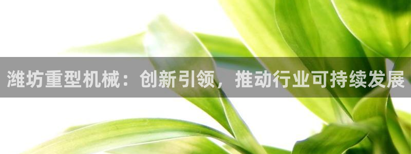 龙八国际什么诈骗