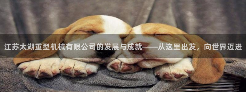 龙八国际app下载安卓