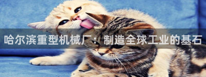 龙八国际娱乐下载