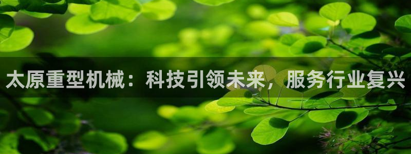 龙八国际娱乐网