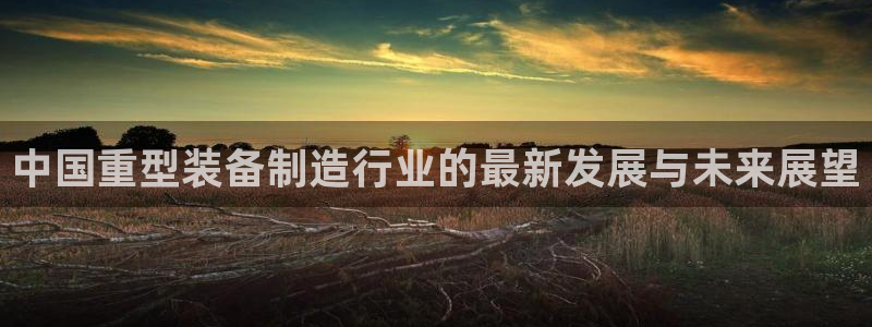 龙八国际娱乐网站多少