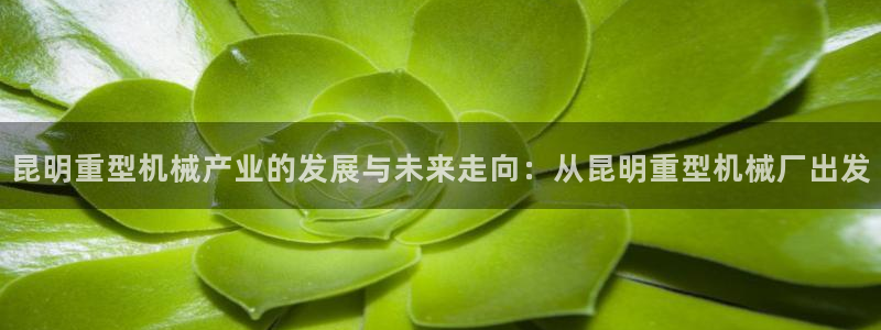 龙八国际有限责任公司