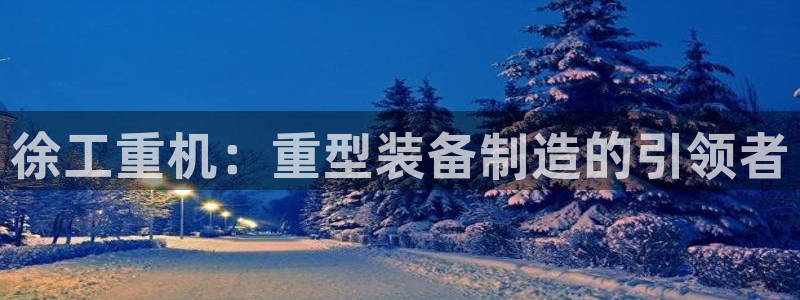 龙八国际手机版官网平台