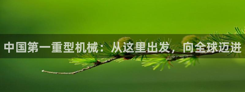 龙八国际黑吗