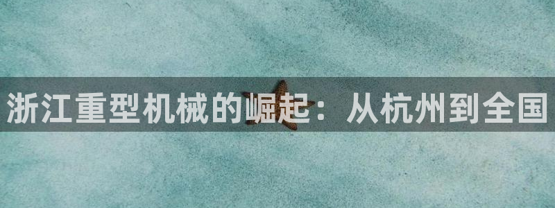 龙八国际公司是真是假