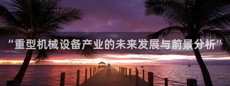 龙八国际APP官方版