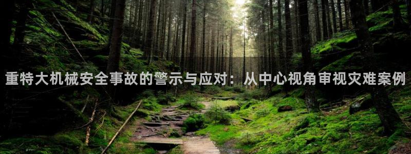 怎么举报龙八国际