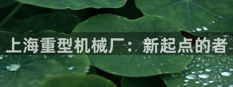 龙八国际更新