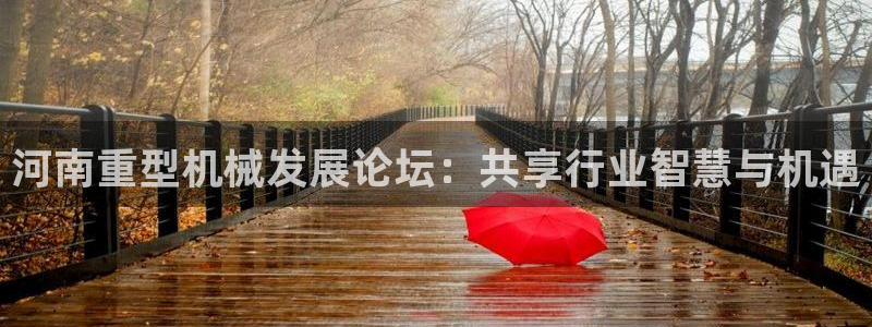 龙八国际平台手机版下载