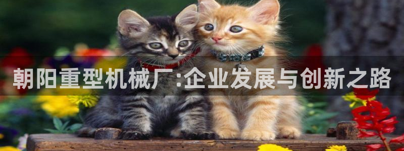 手机版龙八国际