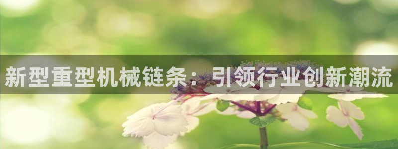 龙八国际手机端官网