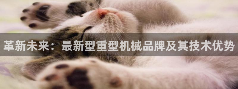 龙八国际娱乐正版