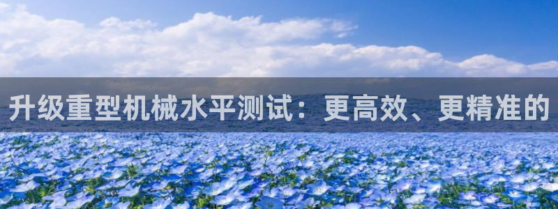 龙八国际头号玩家是谁啊