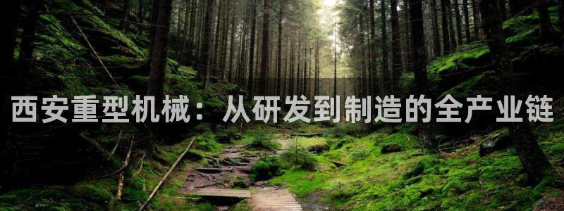 龙八国际手机版下载地址