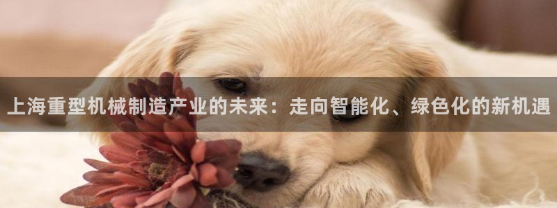 龙八国际游戏
