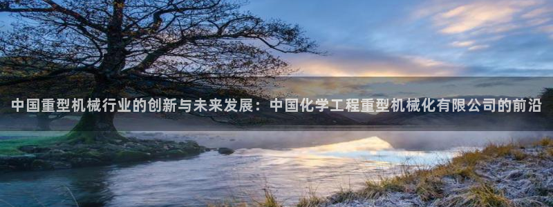 龙八国际是缅甸的吗