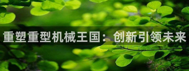 龙八国际试玩网页版