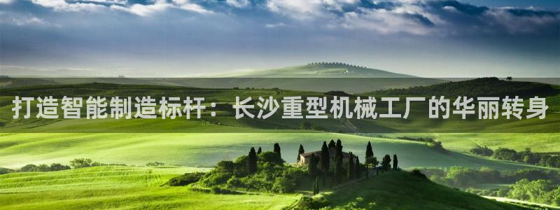 龙八国际官网客户服务