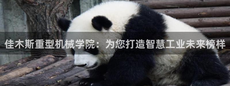 龙八国际官网苹果