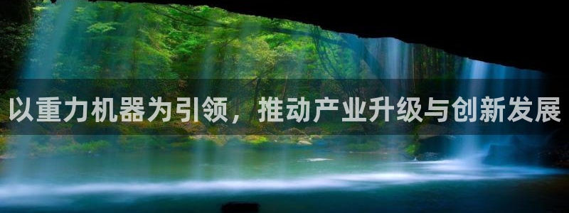 龙八国际是干什么的